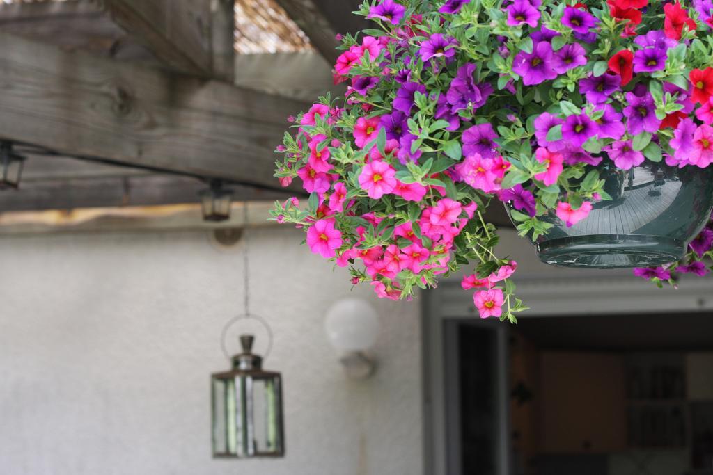 Calme Et Nature, Ba Hotel Gujan-Mestras Room photo